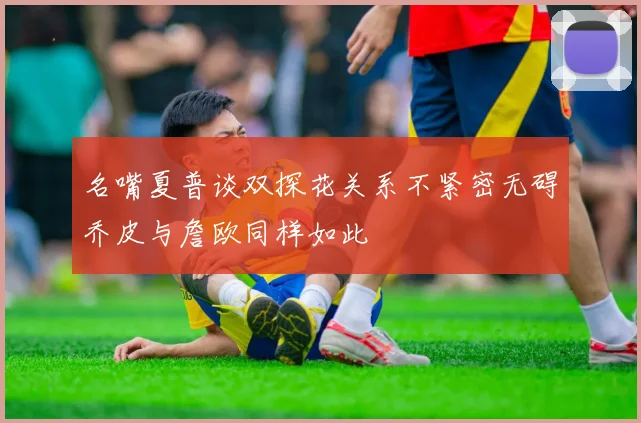 名嘴夏普谈双探花关系不紧密无碍乔皮与詹欧同样如此