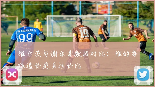 维尔茨与谢尔基数据对比：谁的每球造价更具性价比